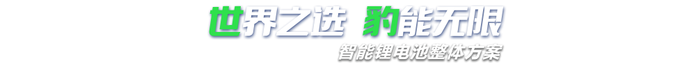 世豹新能源,智能鋰電池整體方案專家,提供鋰電池定制